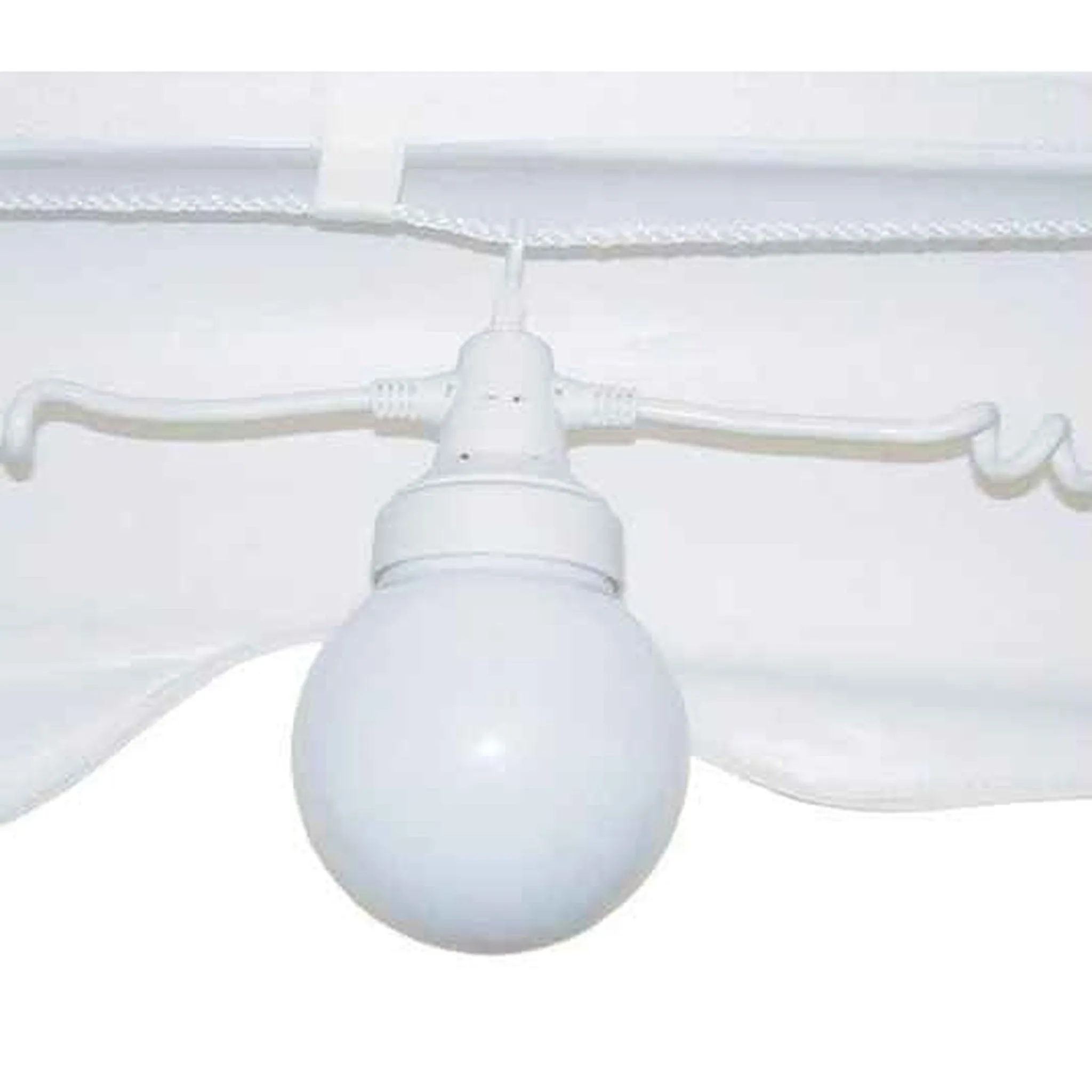 25’ Tent Globe Lights