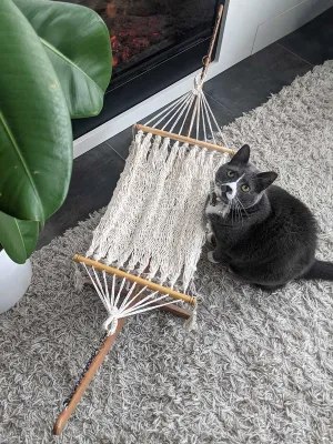 Cat Hammock