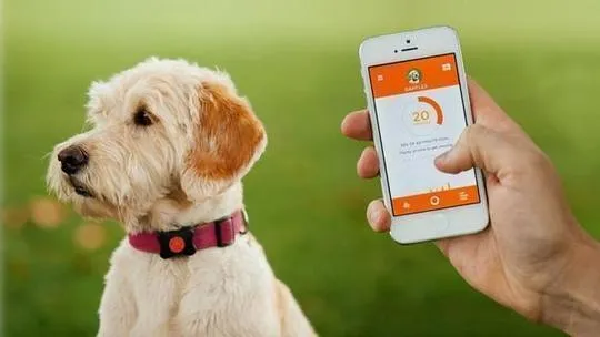 GPS Tracker For Dogs & Cats