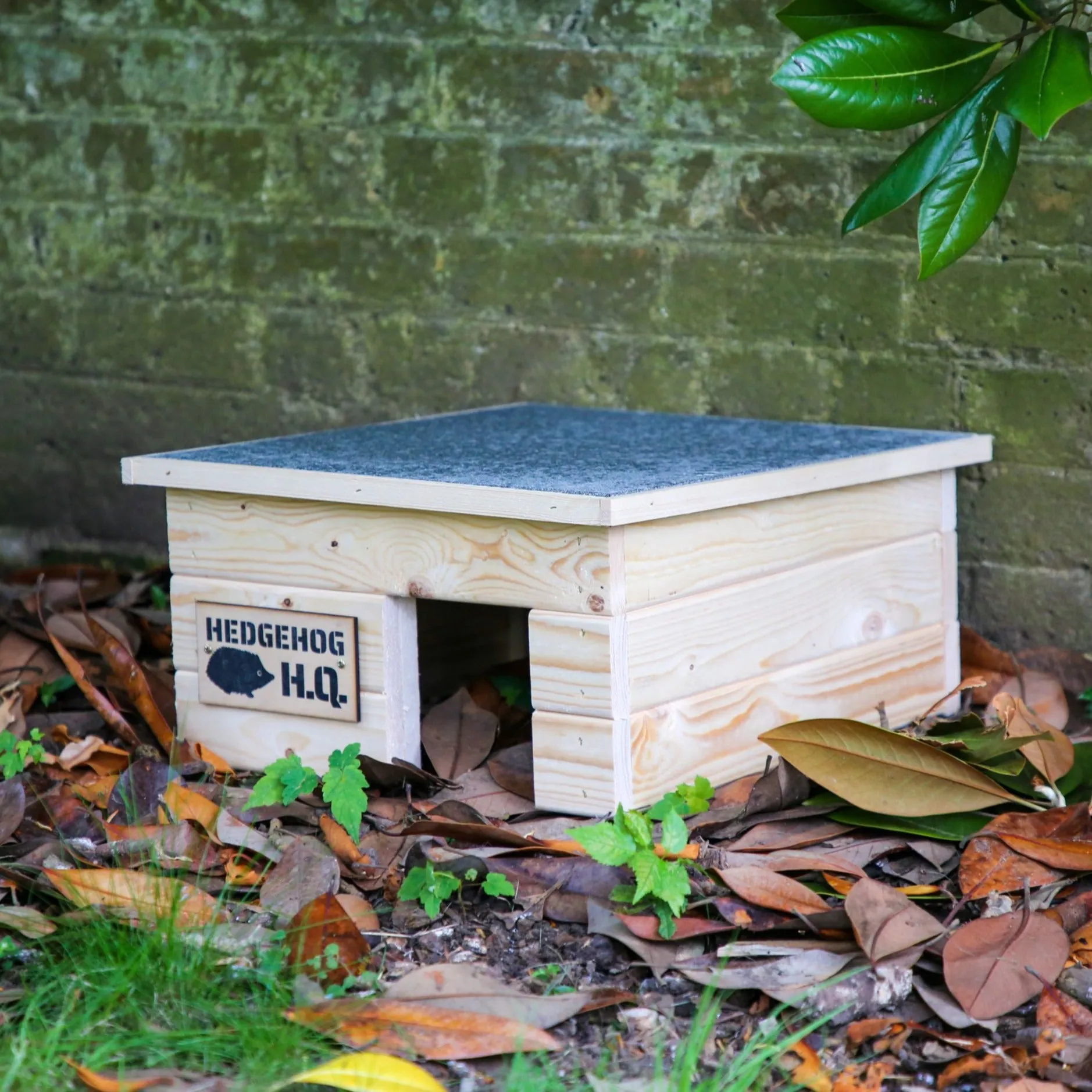 Hedgehog Shelter
