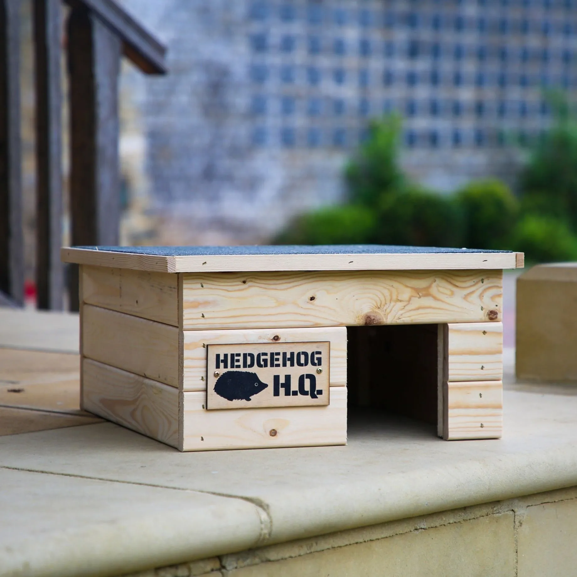 Hedgehog Shelter