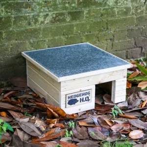 Hedgehog Shelter